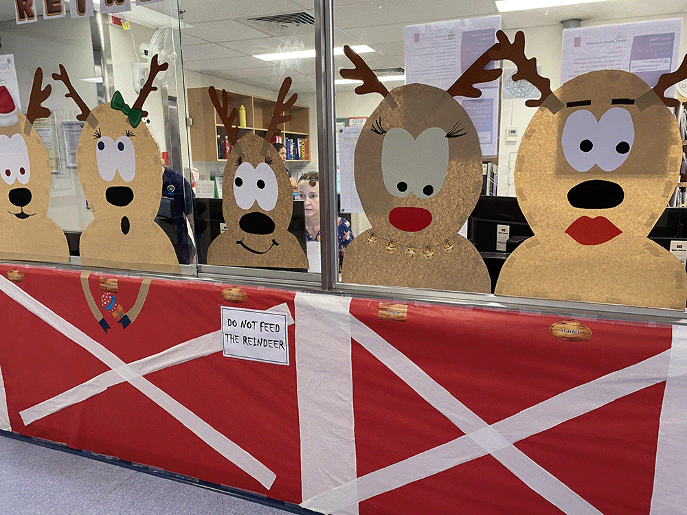 Deck the Wards competition 2025