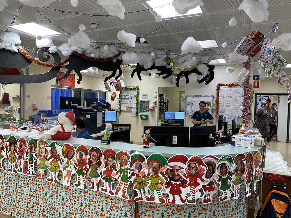 Deck the Wards competition 2025