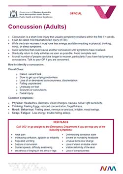 concussion fact sheet